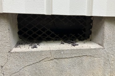 家に侵入する生き物について